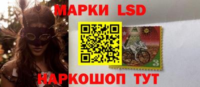 индика Бийск