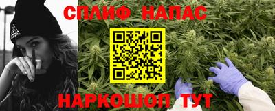 индика Бийск