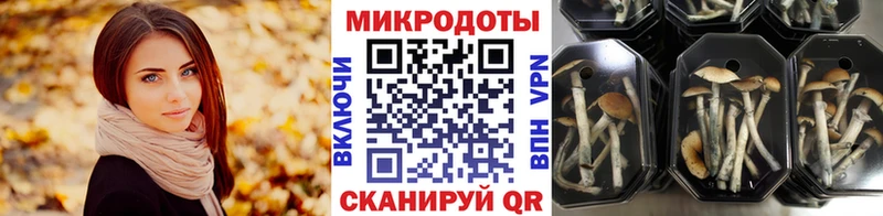 Галлюциногенные грибы прущие грибы  Бугульма 