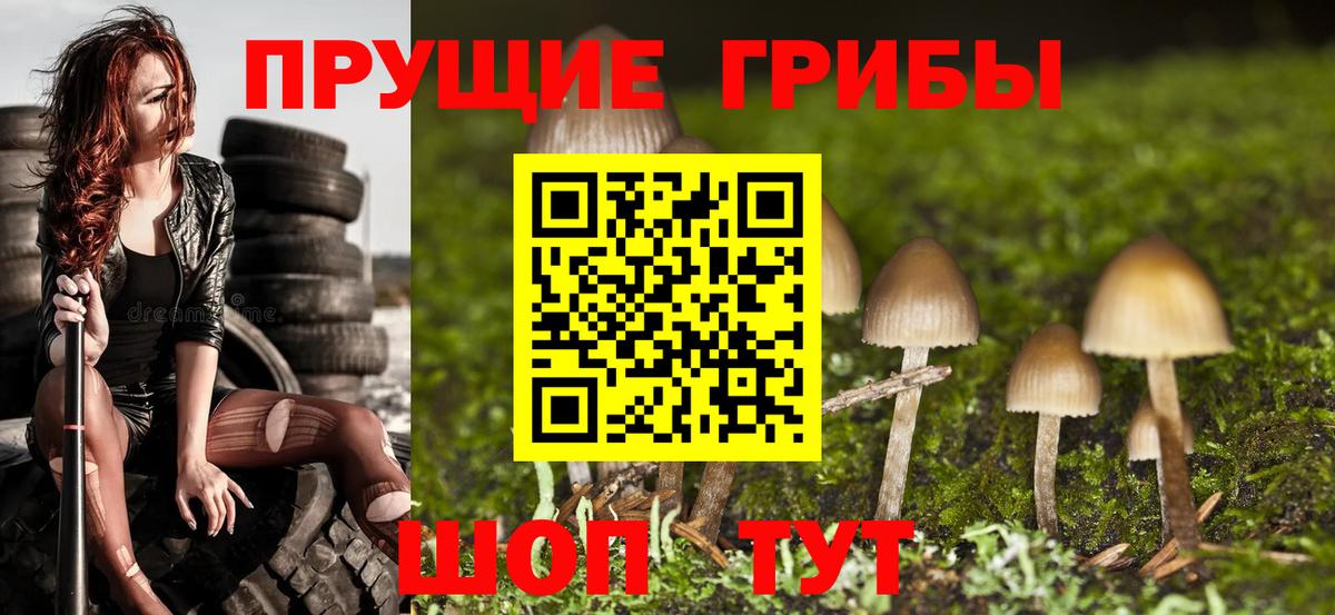 Галлюциногенные грибы мицелий Бугульма